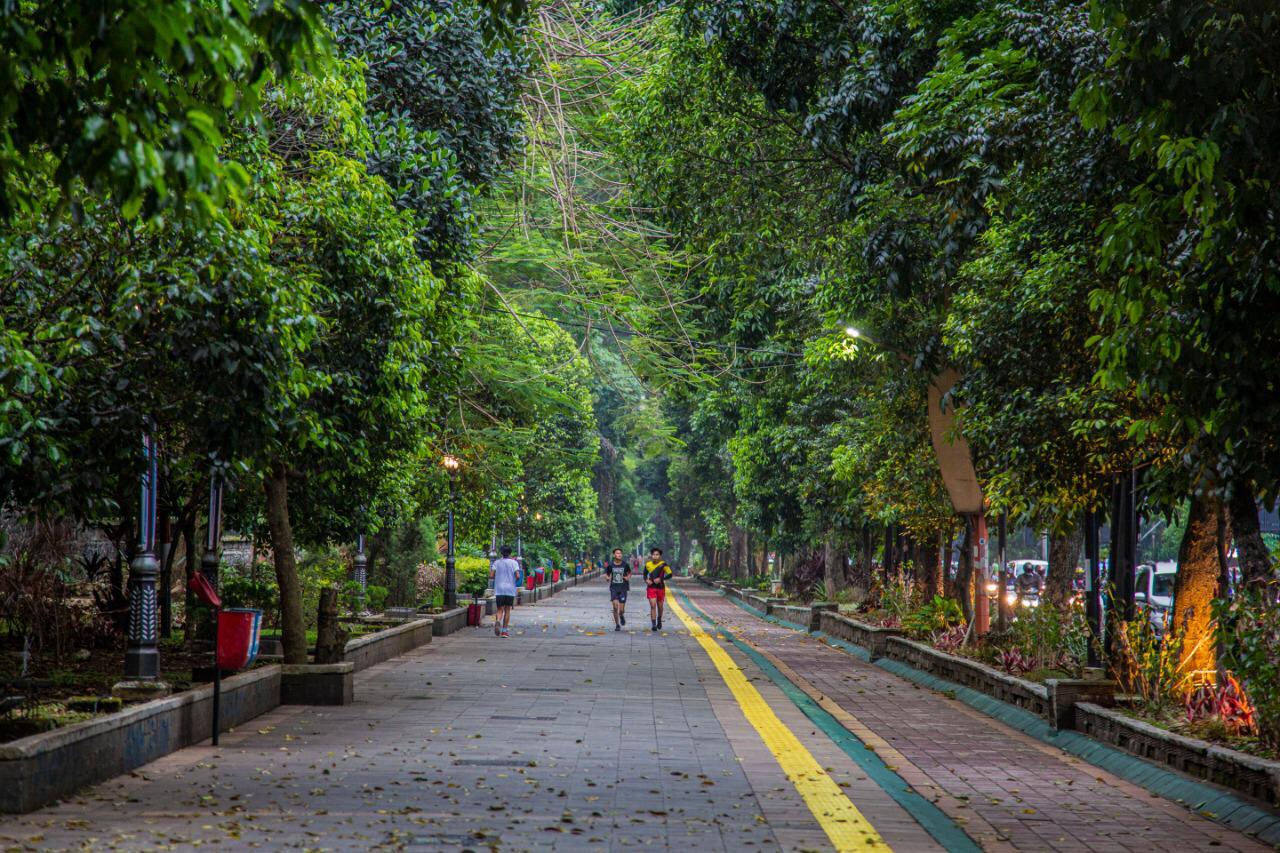 Pedestrian ssa