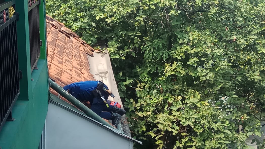 IMG-20190822-WA0072
