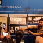 Mengenal Sejarah IPB dari Masa Ke Masa, Kunjungi Museum IPB