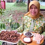 Cendawan Indigenos Indonesia: Keanekaragaman dan Bioprospeksi Bidang Kehutanan, Pertanian-Kesehatan