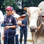 Ketua DPRD Kabupaten Bogor Bogor, Rudy Susmanto menyalurkan hewan kurban dari Ketum Partai Gerindra, Prabowo Subianto. Prabowo kurban 48 ekor sapi untuk warga Desa Hambalang. Foto: istimewa