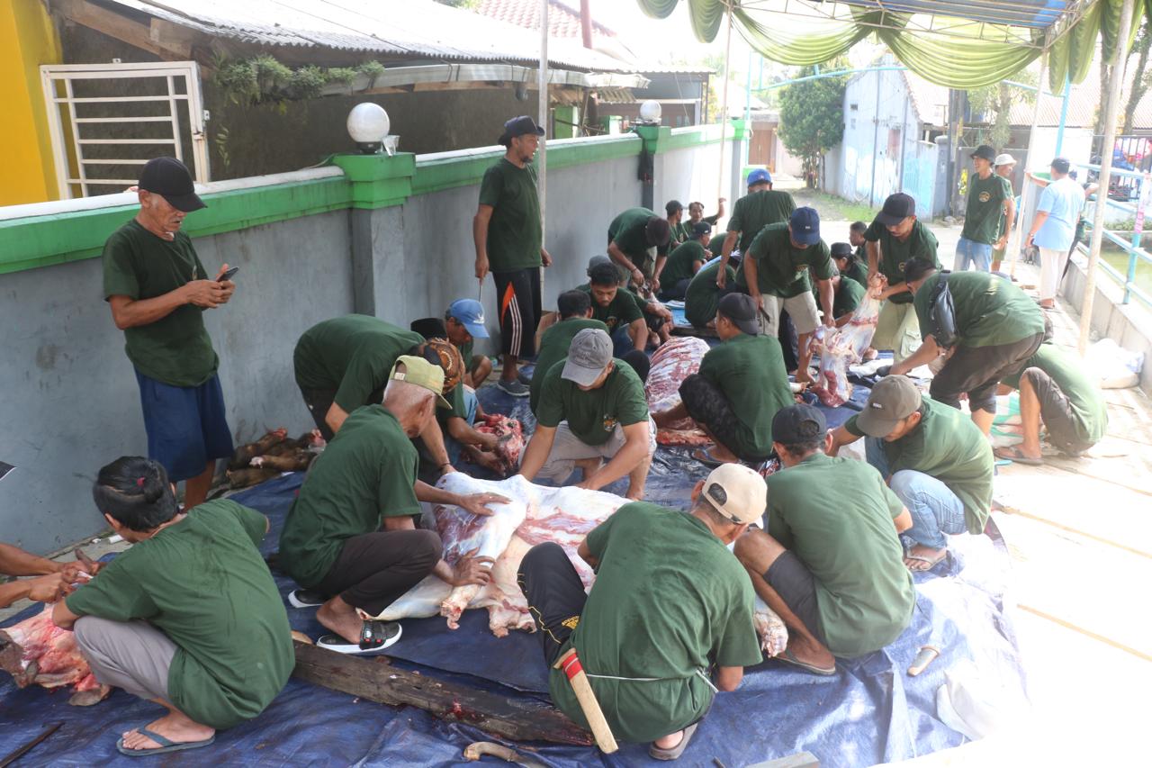 WhatsApp Image 2024-06-17 at 16.47.54